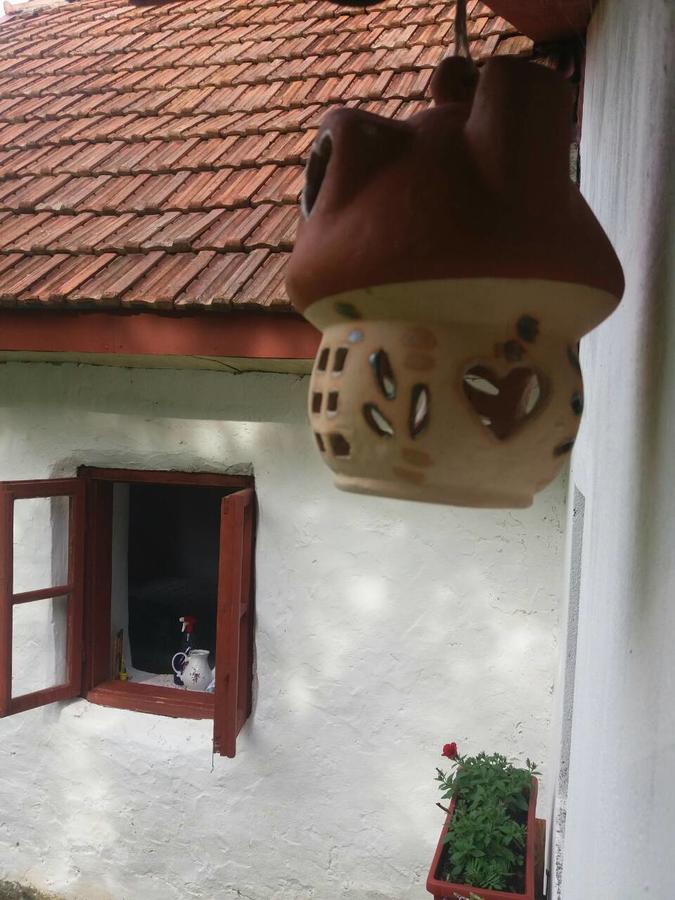 Etno Guest House Lalovic Tjentiste Eksteriør billede